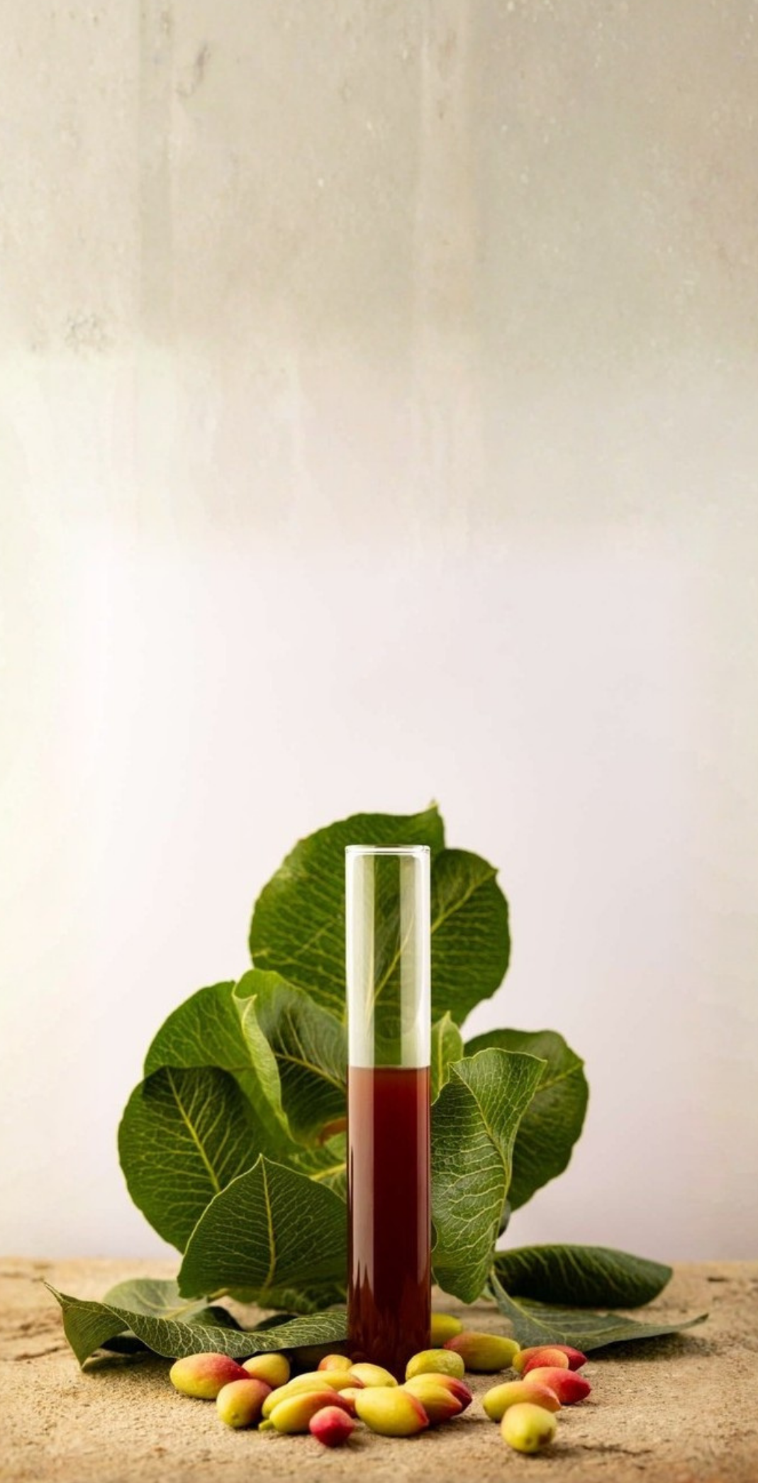 Pistactive-h extract in a test tube beside pistachio leaves and hulls