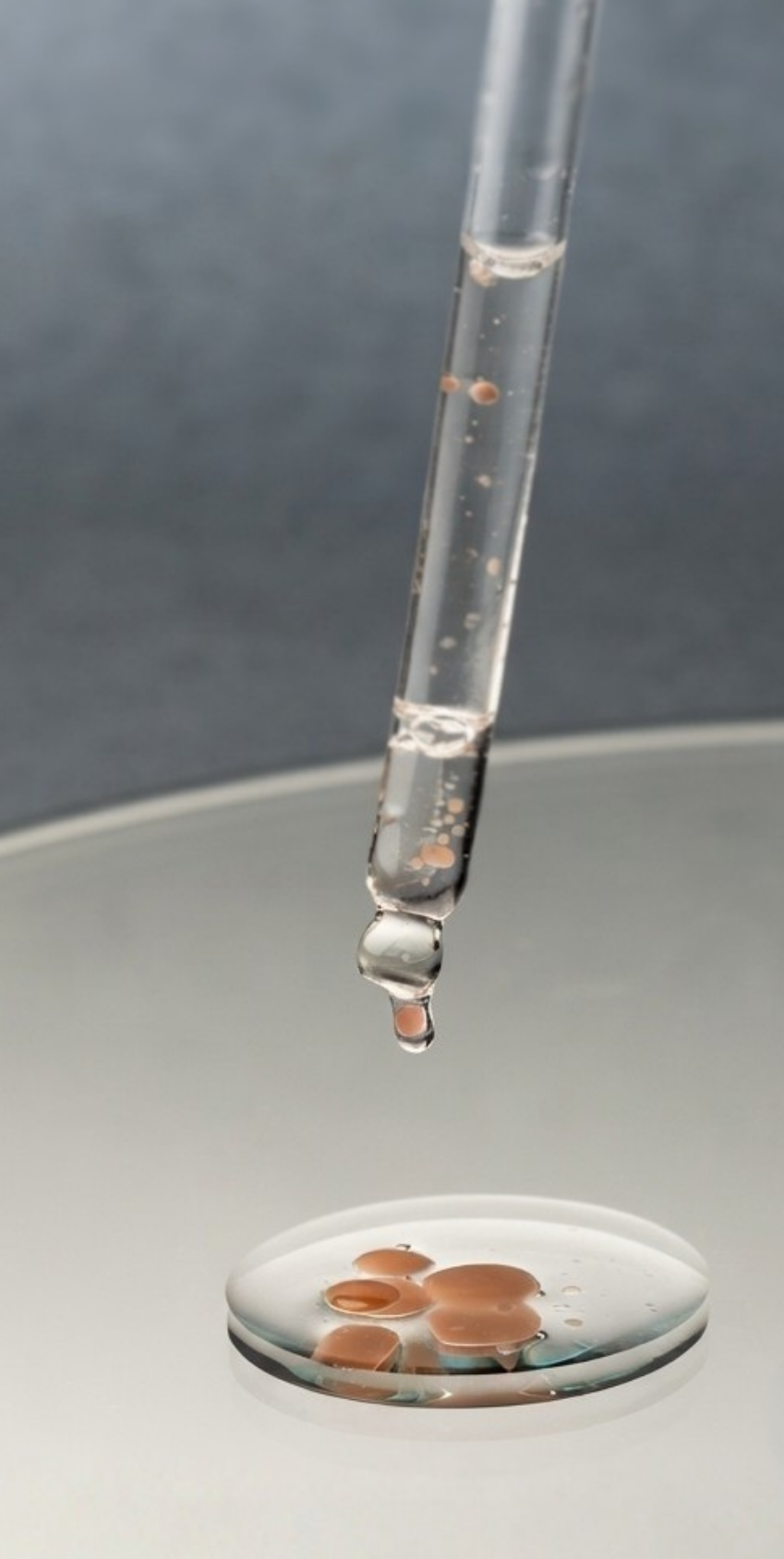 Pistactive-h released into a petri dish